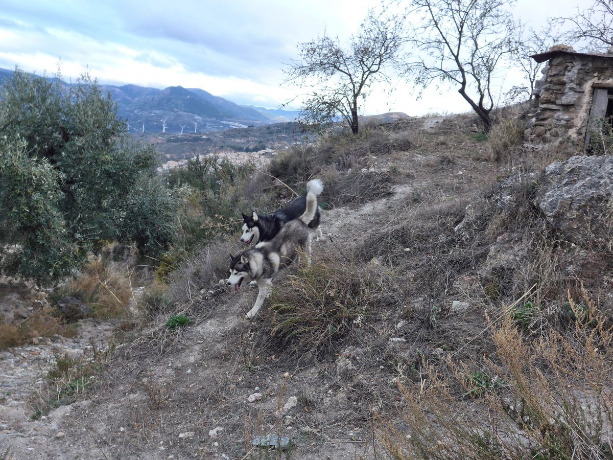 The boys coming back from their off road adventure