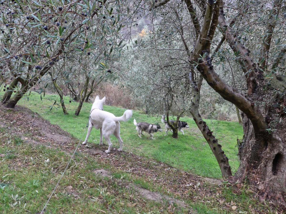 The wind and drizzle made us all a bit crazy