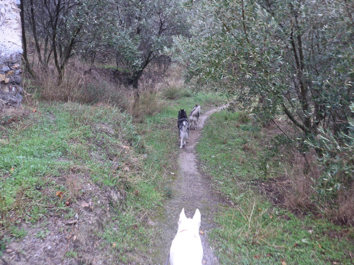 This is the last photo taken on that walk as we headed out of the relative shelter of the trees and headed directly into the horizontal drizzle