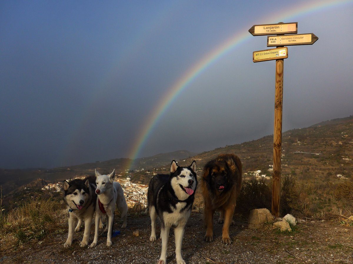 Woo look a rainbow, it was trying to become a double rainbow