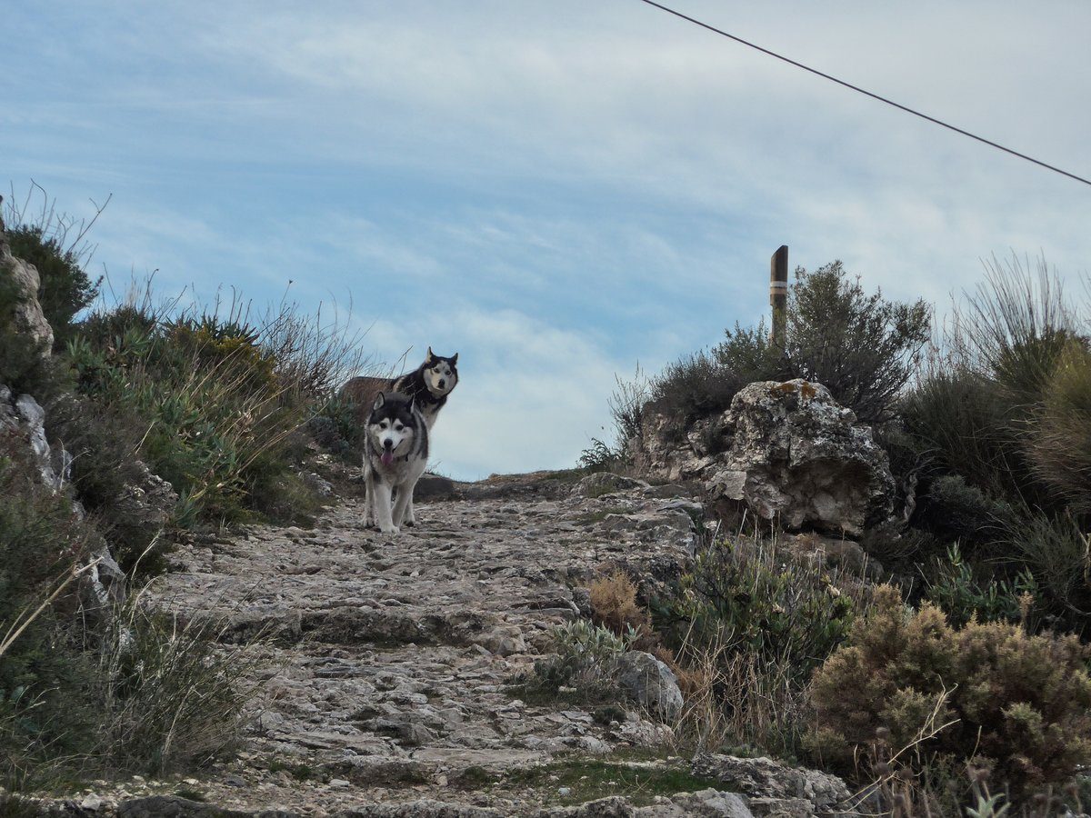 OK I am coming down to get you