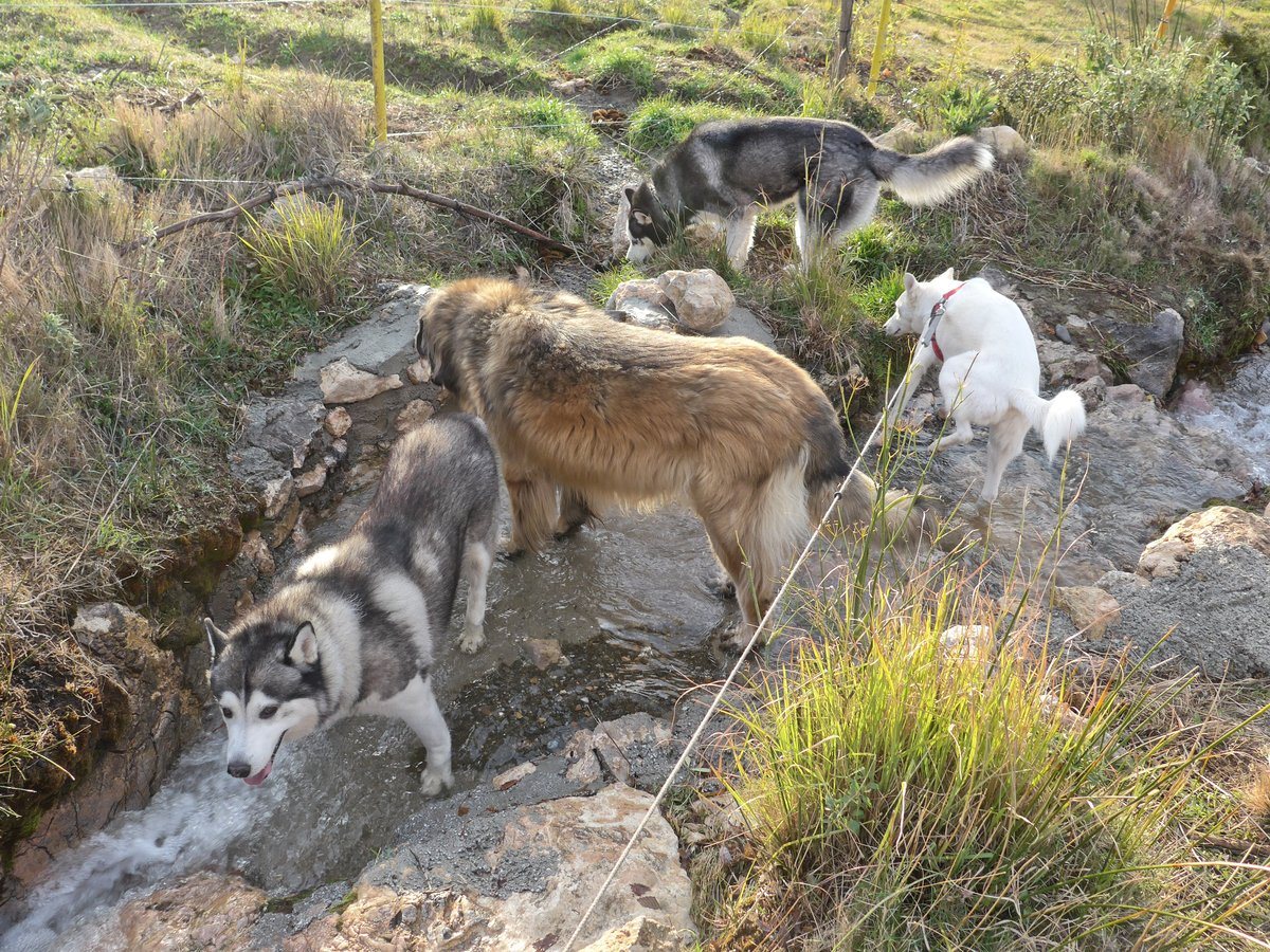 Cooling down after all the running around