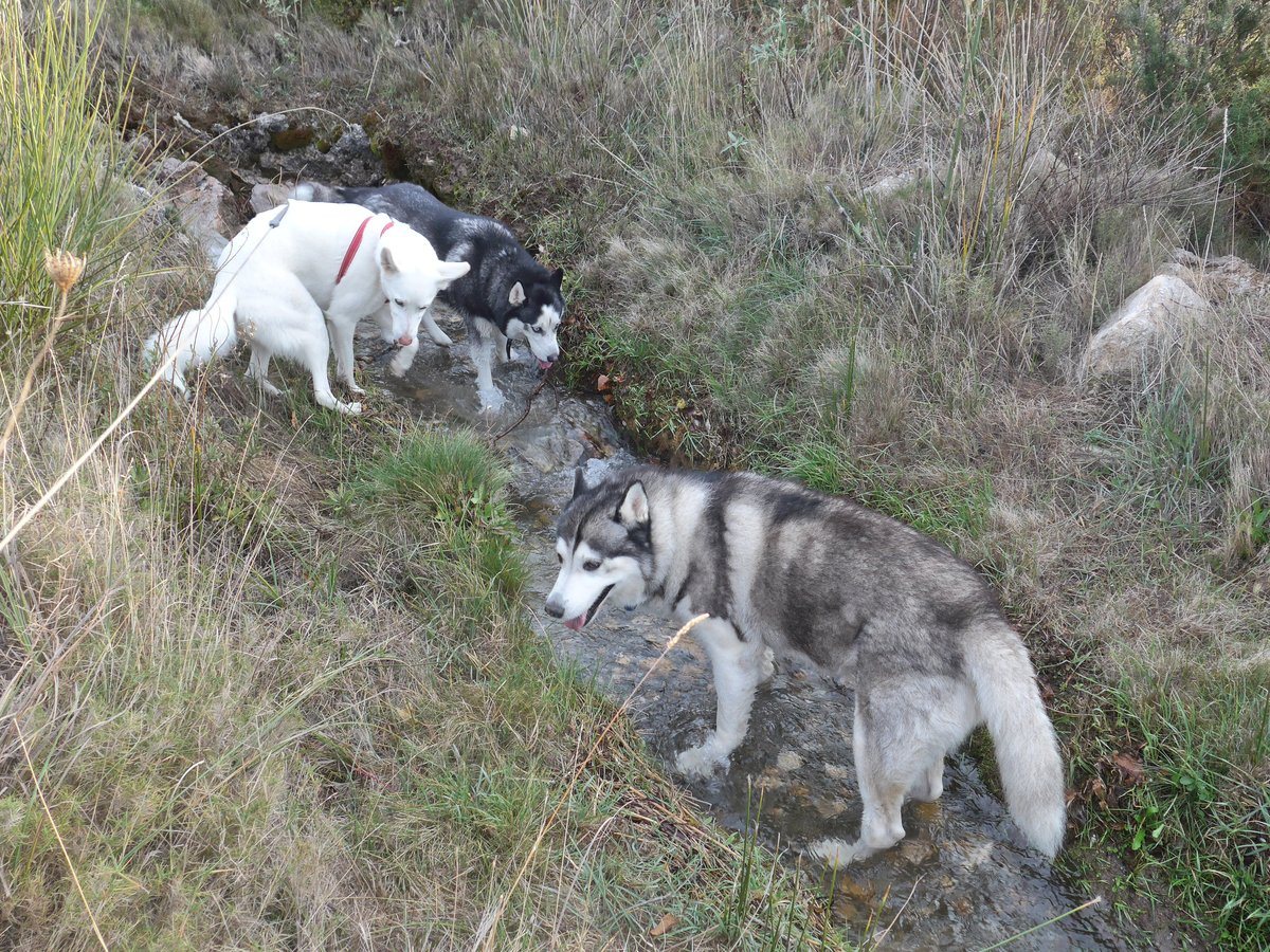 More cooling down
