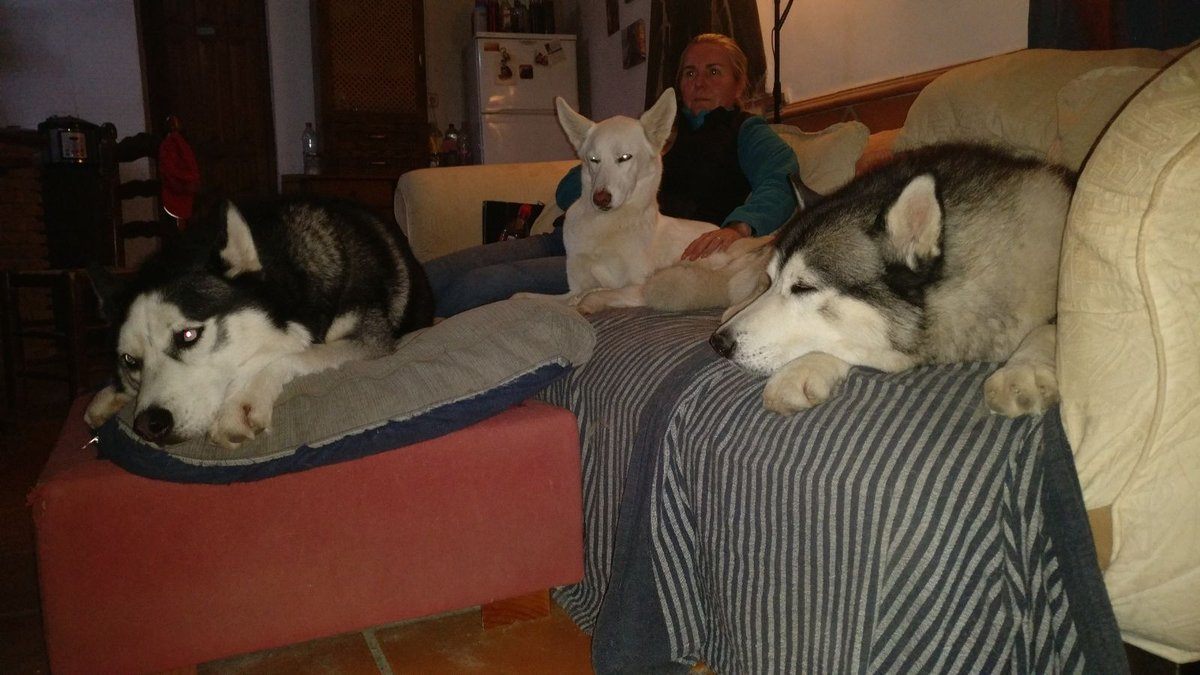 No room left on the sofa