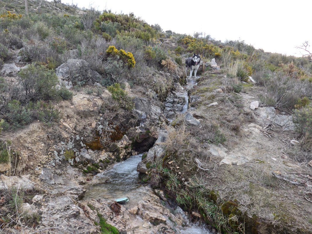 Arko higher up the acequia