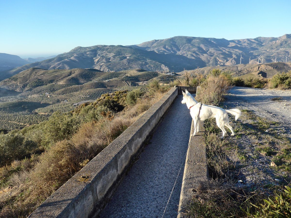 I know there are goats down there, or is this where Arko went?