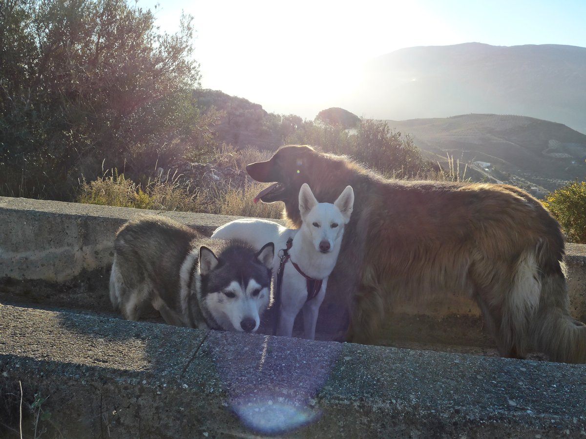 An attempt at a group photo, Arko was not wanting to join in and had gone off in search of fun