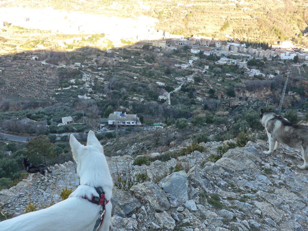 Heading home, Arko had joined us again, what is going on down there then?