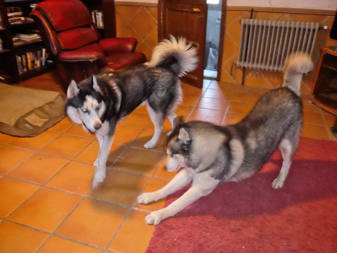 You wanna play Arko?