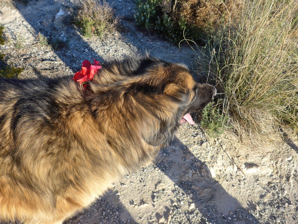 Kyra with the flower
