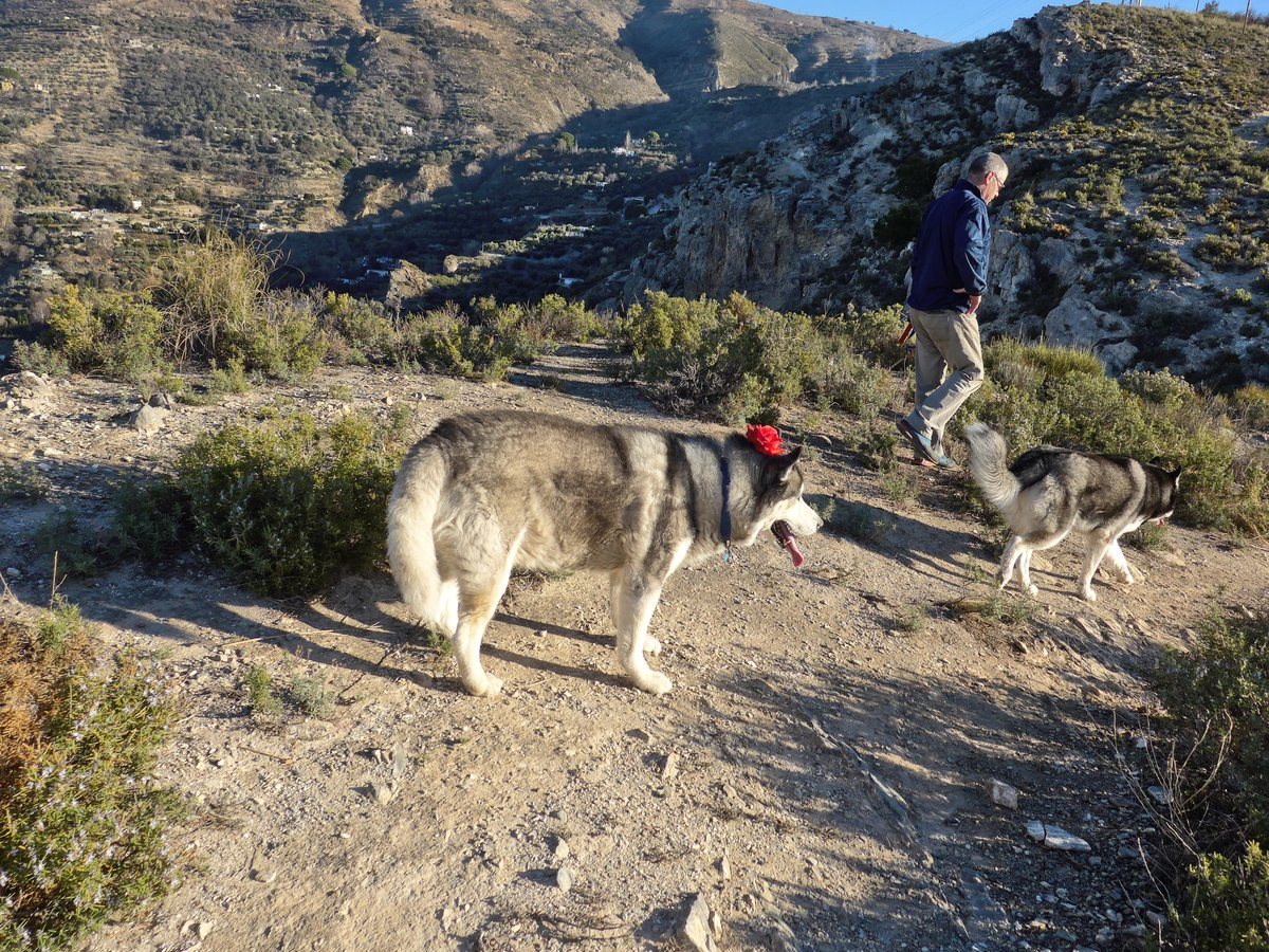 Hu'dad walking off in disgust that Khumbu was made to wear a flower