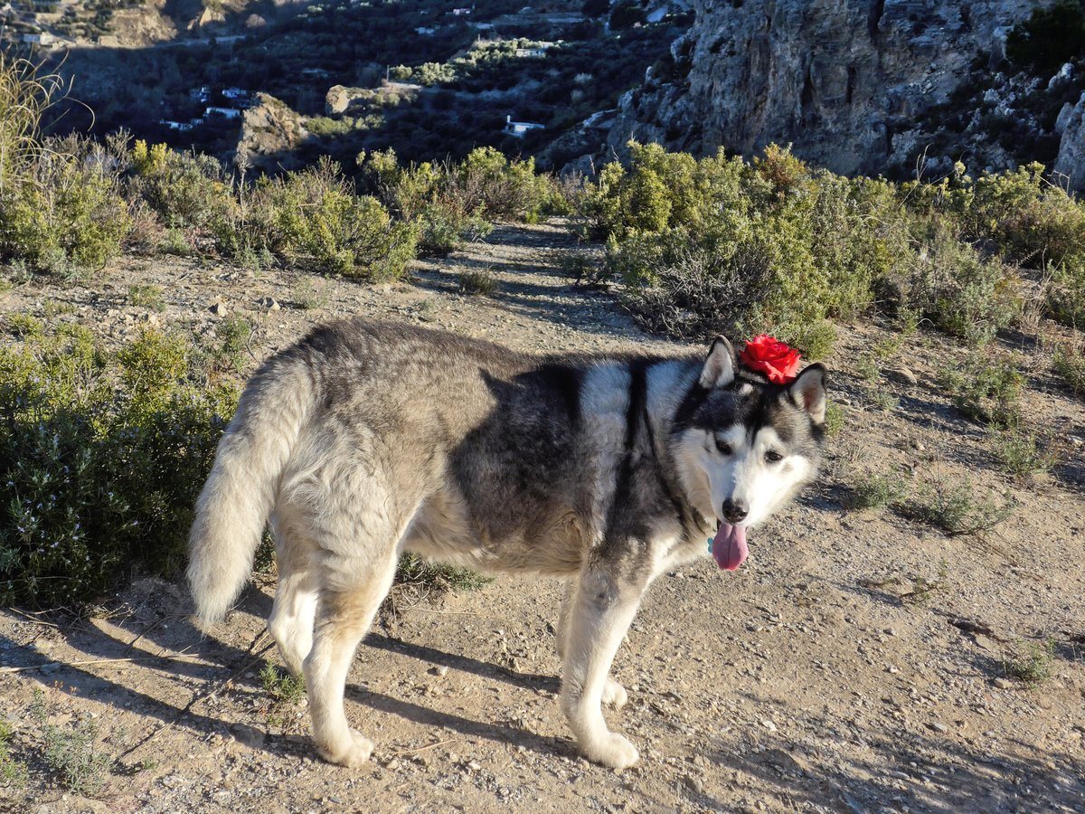 Do I have something on my head?