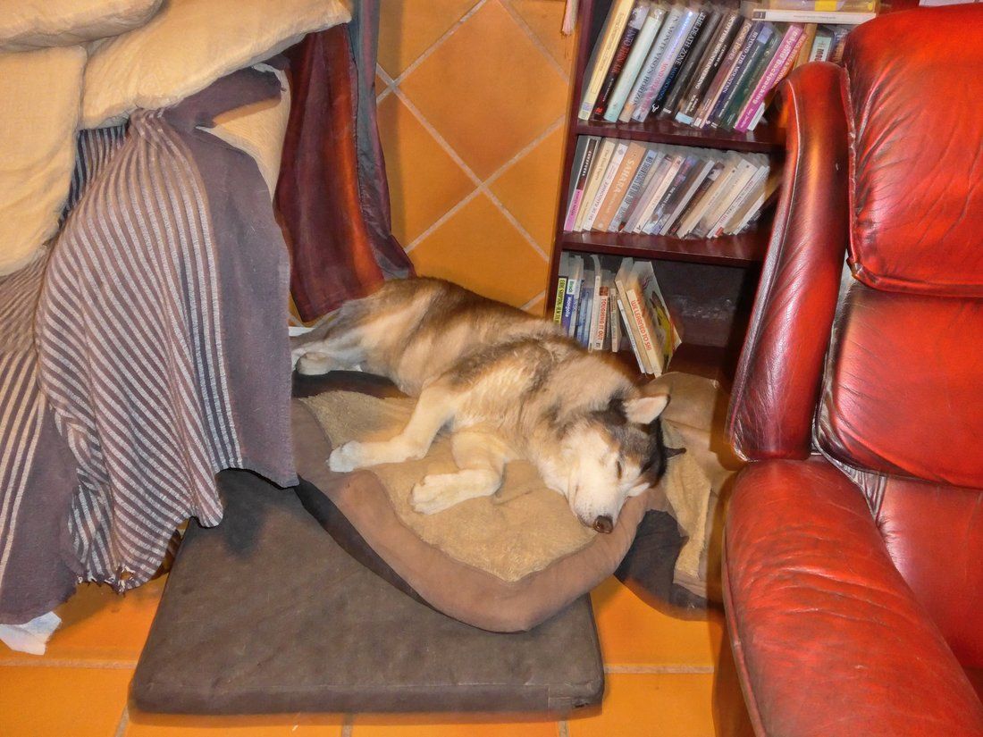 Once home Khumbu decided to re-arrange his bed