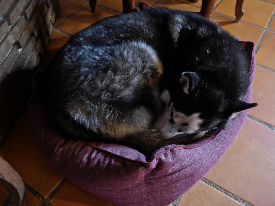 Arko squeezing into Rita's bed