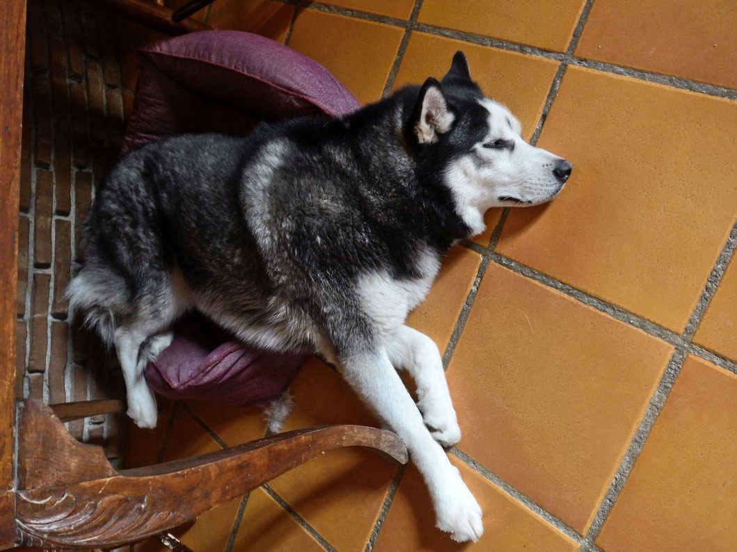 Realising he is far to big for her bed