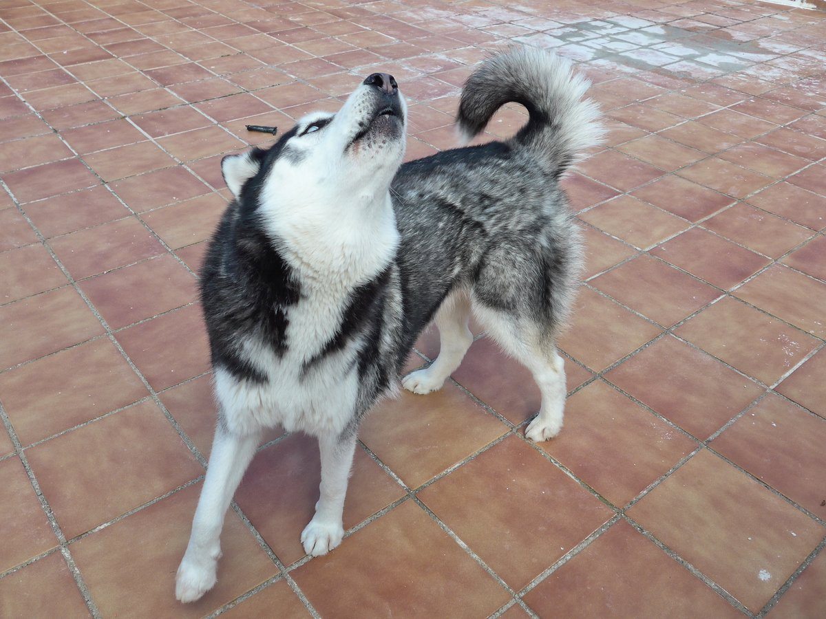 Playtime started with Arko telling us his plans for the rest of the day