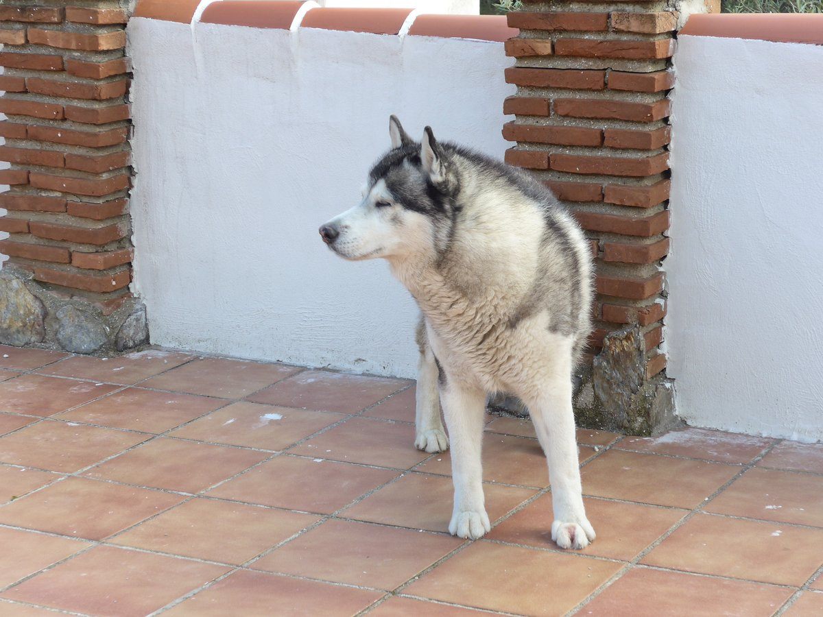 Khumbu having a zen moment