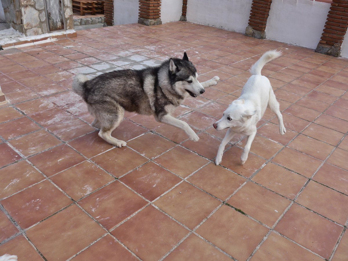 Khumbu trying his Ninja moves