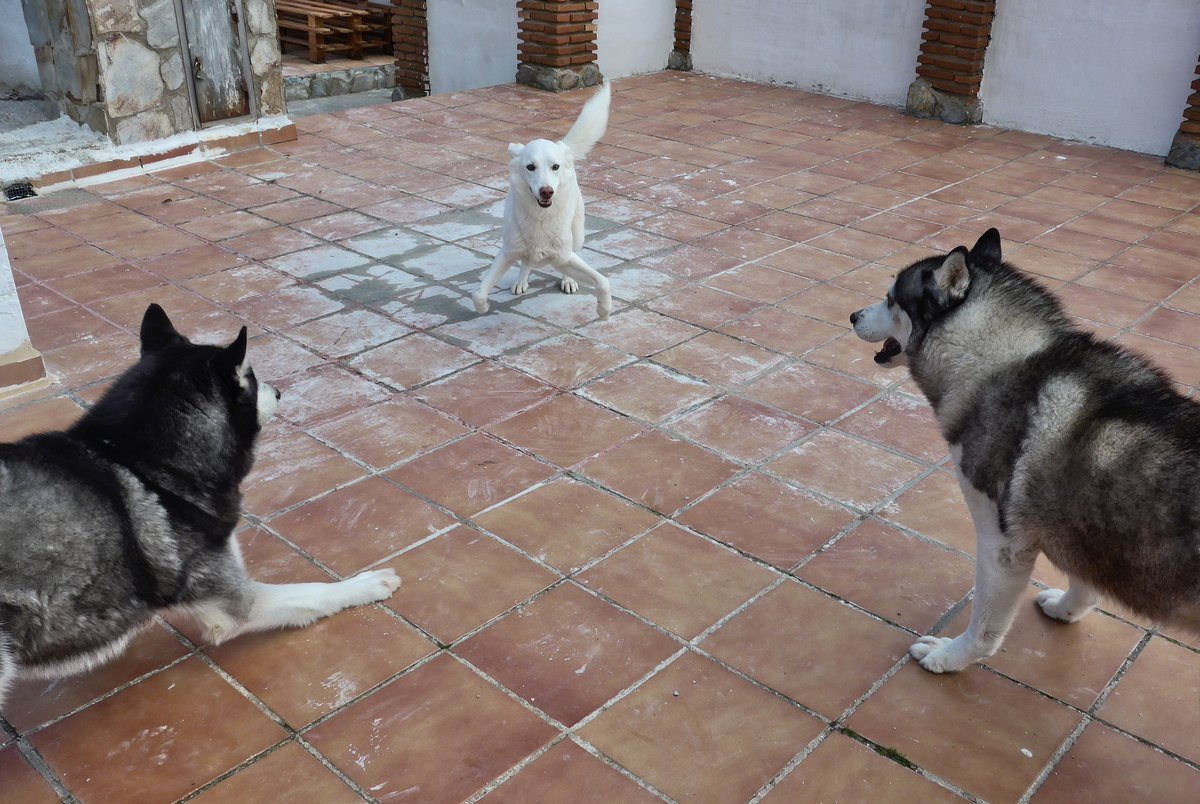 Rita lost it again and thought she would try her Ninja moves on both the boys