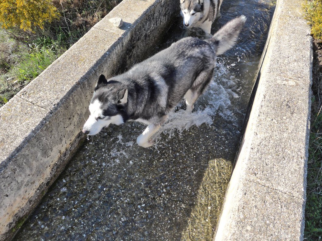 Arko leaving the deeper part