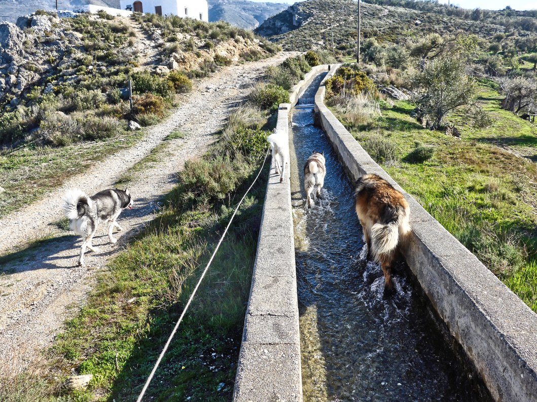 Hu'mum likes this one, she thinks we look like a band walking along BOL