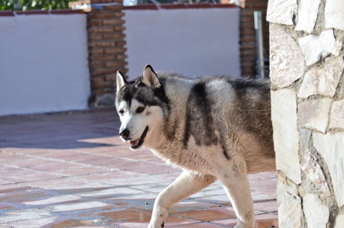 We surprised Khumbu