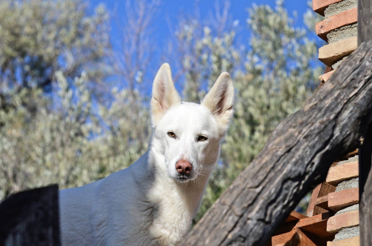 Rita and her serious look