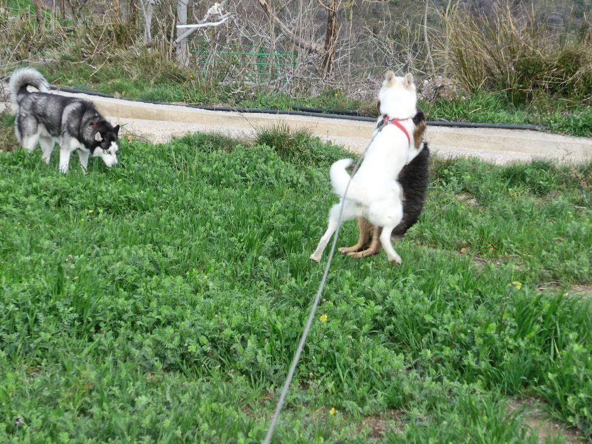 Rita and Colin practicing their levitating dance moves