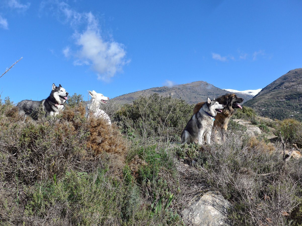 There were some find smells coming from the direction we are looking