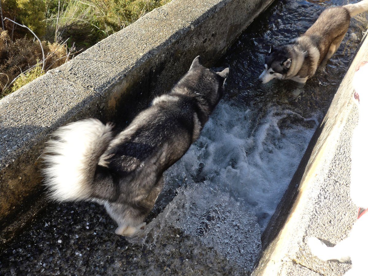 Arko in at the deep end