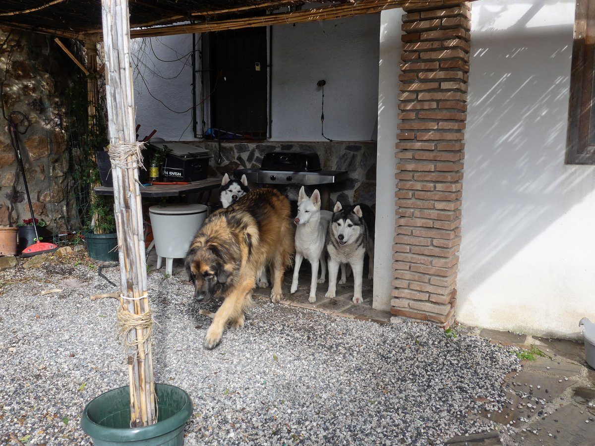 We were all lined up for some reason and just as hu'mum pressed the button Kyra stepped out of line BOL