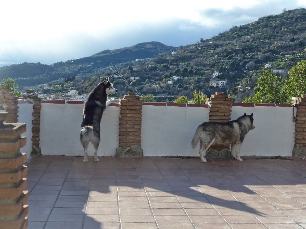 We are still working out how to see over the new wall when the intruder alarm goes off