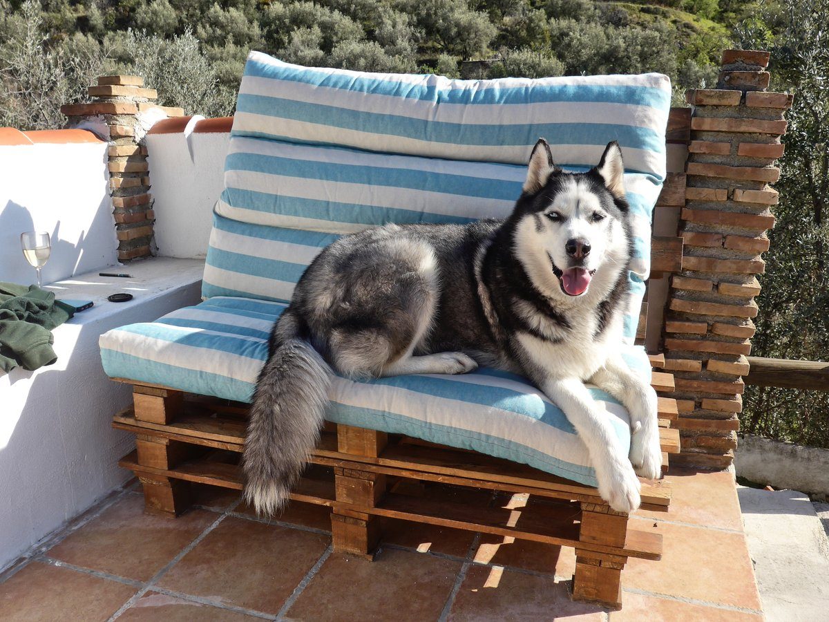 This appears to be Arko¡s favourite seat on the roof terrace