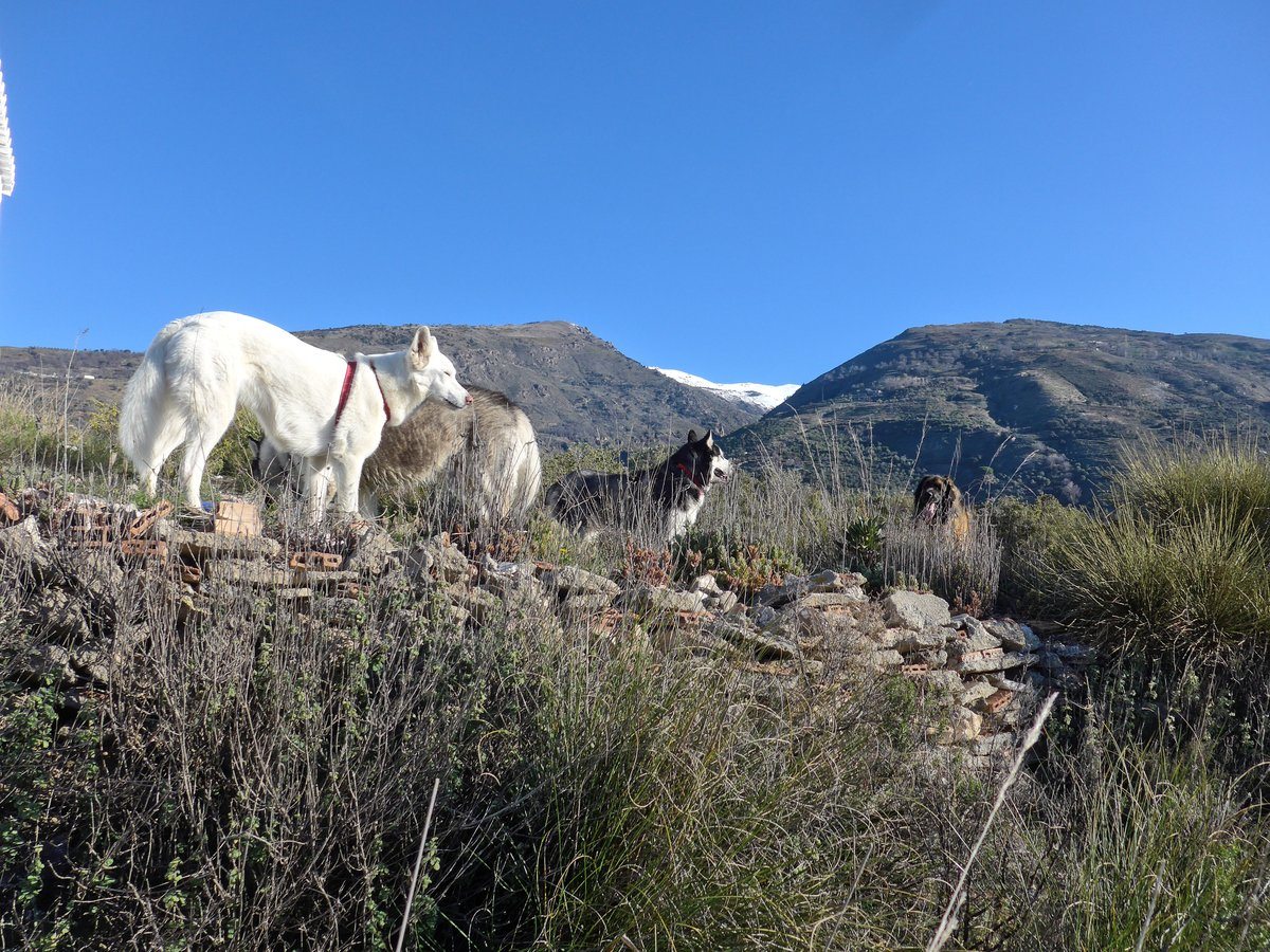 She tried to call us into position, but we got distracted. 