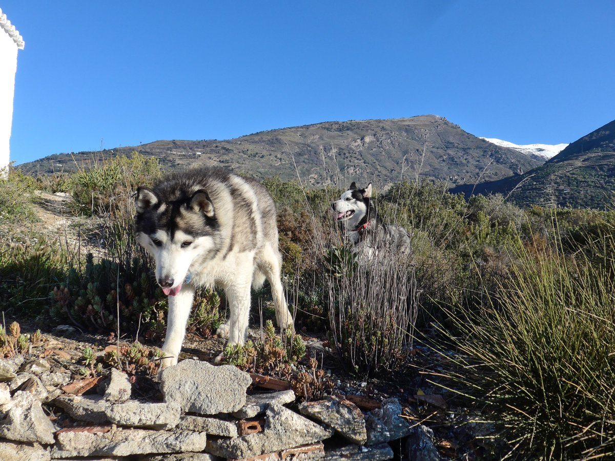 Arko and I searched to see if we could spot them. Well that's what we told her.