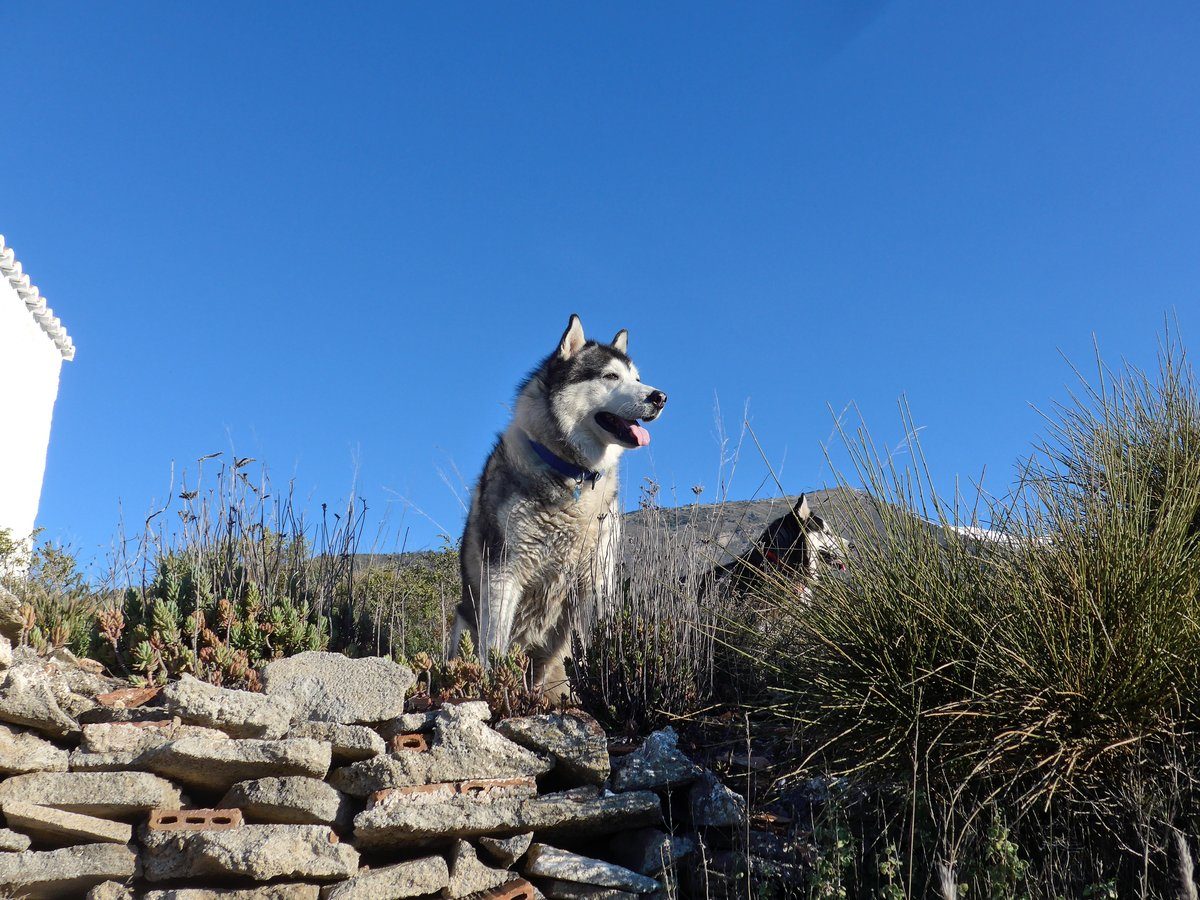 As you can see the girls were not in the direction we were looking, BOL.