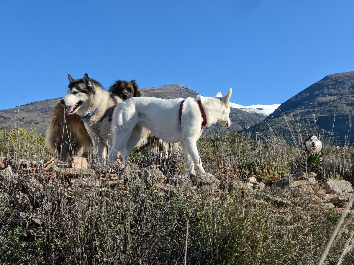 And then Khumbu vanished and so had the snowy view behind us
