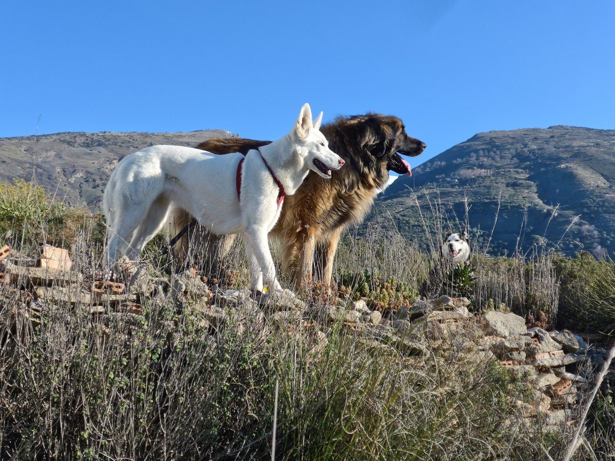 Arko then vanished, so it was just us girls with no snowy backdrop.