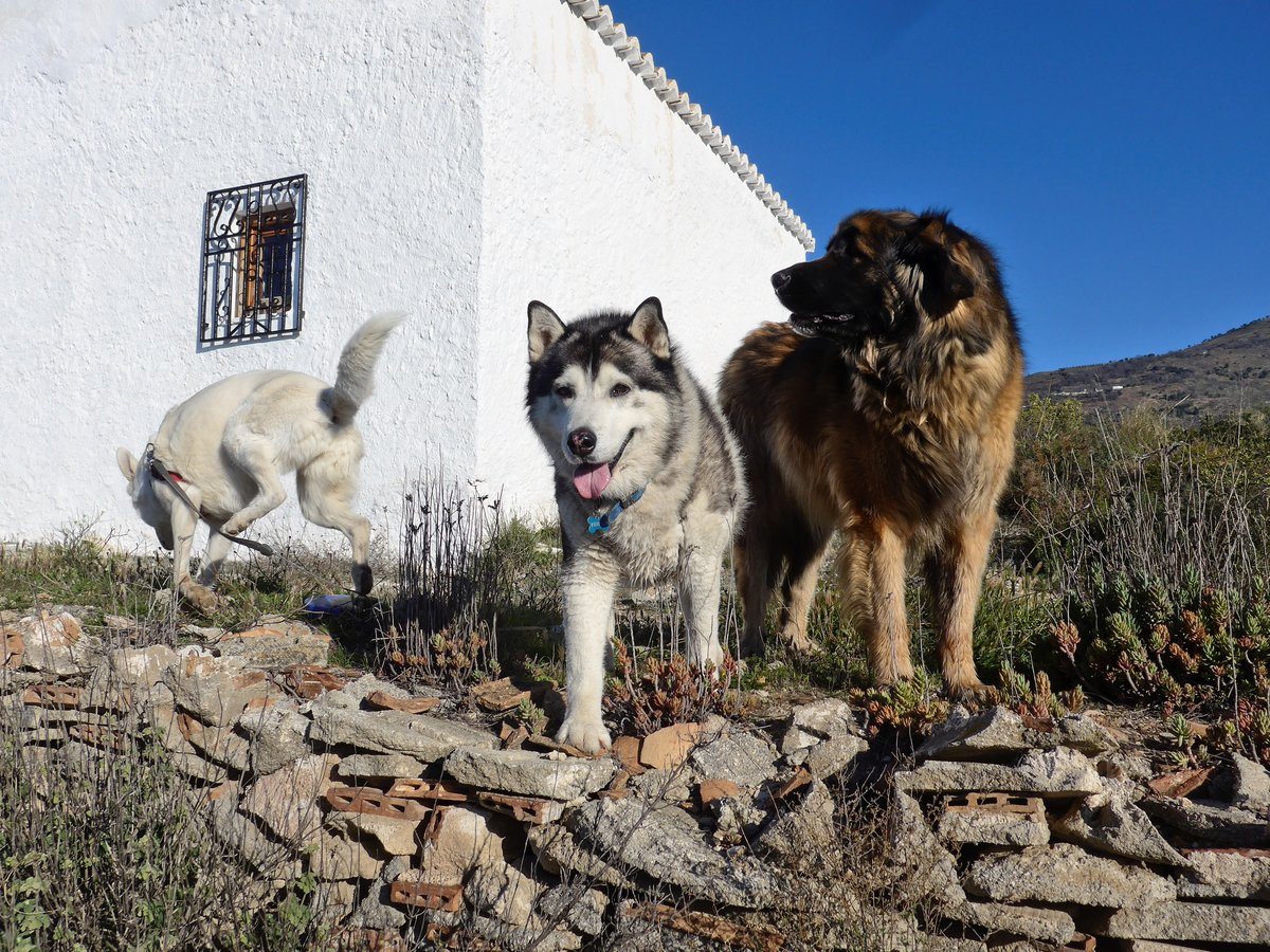 Boredem had set in, Rita was working out a route to go, Khumbu was working out how to get down the wall, Arko was gone, but Kyra was trying her best.
