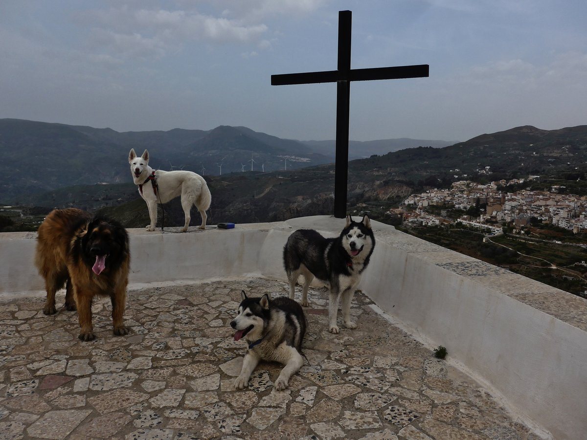 A murky day picture from the Ermita, we think it was the dust from the Sahara again