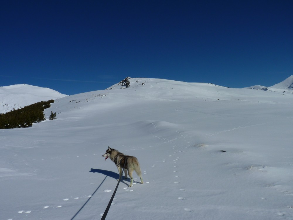 We were heading to the rocks on the left so the humans could climb snow gullies