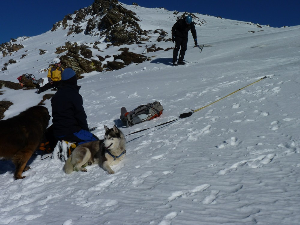Attached to the icescrew whilst the hu'mans mess around
