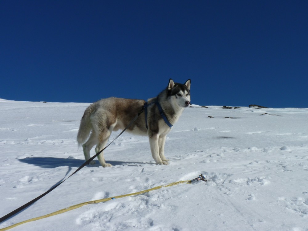 Off to investigate the icescrew but something catches my attention, could this be the test for the icescrew