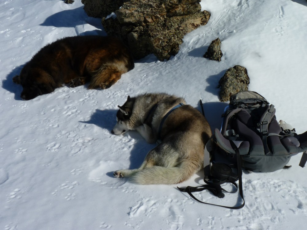 Taking a siesta
