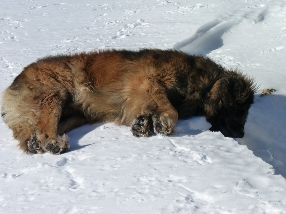 Then fell asleep again!